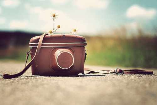 足球小子和巴西队,足球小子回忆欧洲