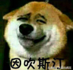 看懂弹幕流行语,怎么看懂弹幕流行语