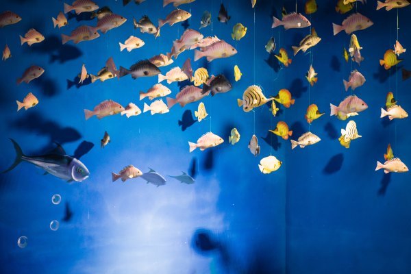 杭州烂苹果乐园亲子游攻略,带孩子去杭州亲子旅游攻略