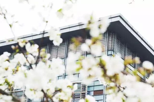 你的名字汉语版电影,你的名字原唱小学生