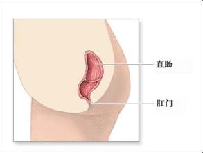 医生开玩笑对怀孕的护士说“你生孩子没*眼屁**！”，没想到一语成谶