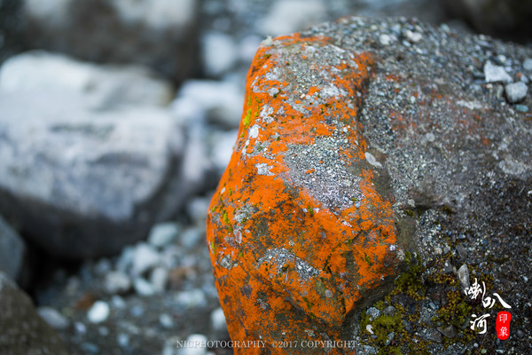 「成都躲霾攻略」喇叭河的圣诞奇缘