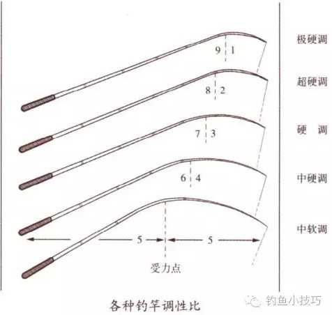 钓鱼新手如何选择钓竿,钓鱼新手选什么钓竿最好