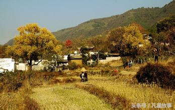 大烟枪和大烟袋,大烟袋跟小烟袋