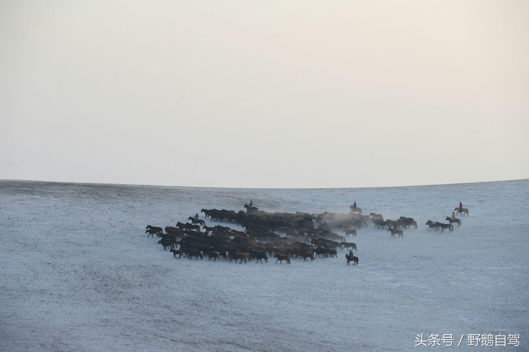 锡林郭勒盟那达慕自驾攻略,锡林郭勒冰雪那达慕完整版