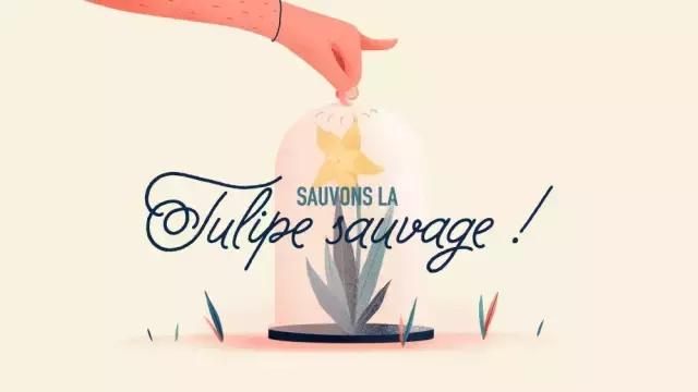 法国插画师amir,tristan插画作品