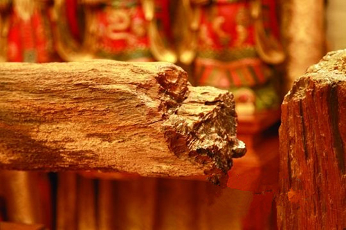 为买到好石头，她花了一个月时间请当地人吃饭喝酒还送礼