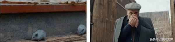 这辈子必看的七部灾难片,必看的八部灾难片