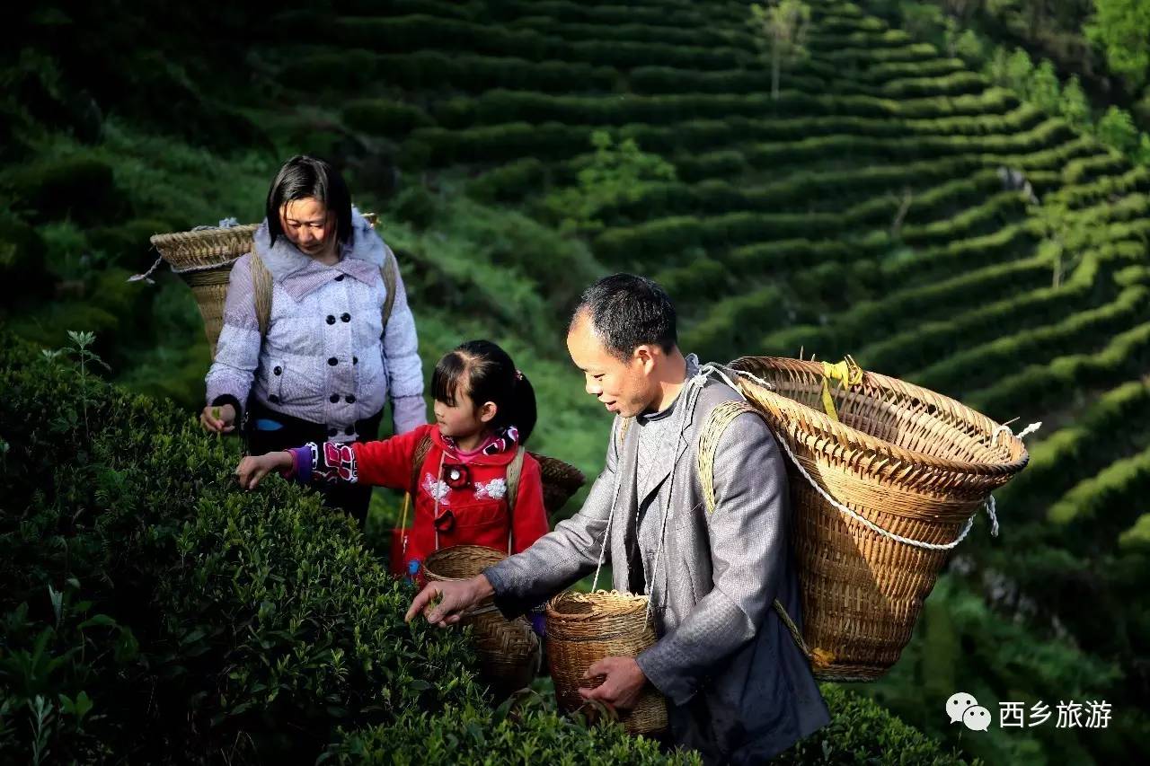 中国美劳动美主题摄影,劳动最美摄影大赛作品护士