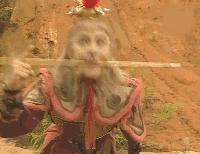 张卫健谈六小龄童,张卫健的六小龄童