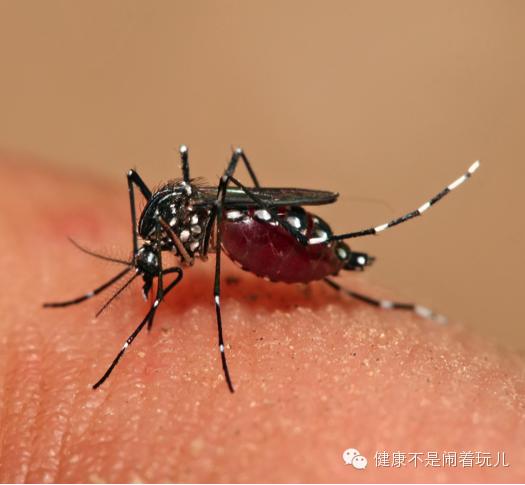 塞内卡病毒是怎么回事,关于塞内卡病毒提出的问题