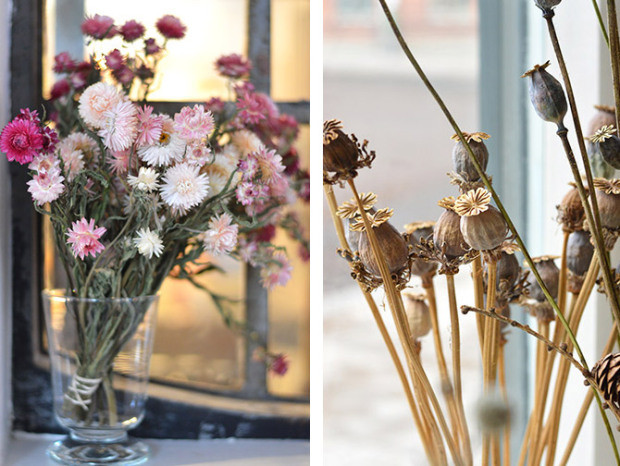 你有没有想过开一家花店呢 (要有一颗文艺心才能开一个花店)