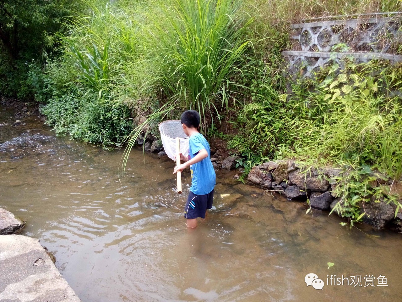 大圣年,大圣过年放鞭炮