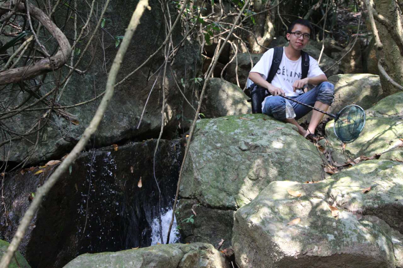 大圣年,大圣过年放鞭炮