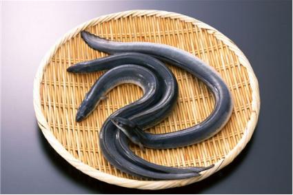 安检检查出尸体,安检竟然查出尸体