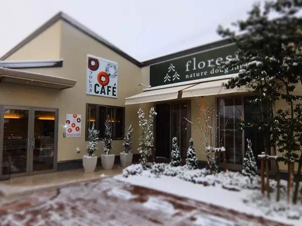 日本甜点菓子,日本甜品菓子