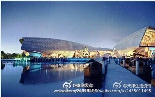 天津今日头条生活视频,天津生活频道视频回放