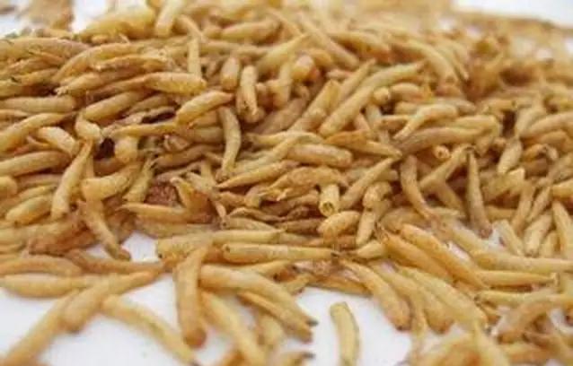 一招教你“发家致富”,99%的人都不知道的致富秘笈