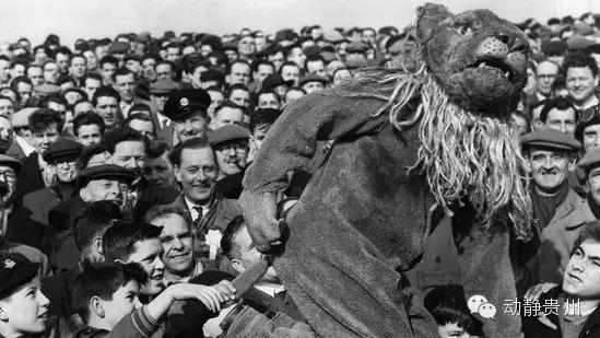 别喷春晚了,来看吉祥物开心开心!