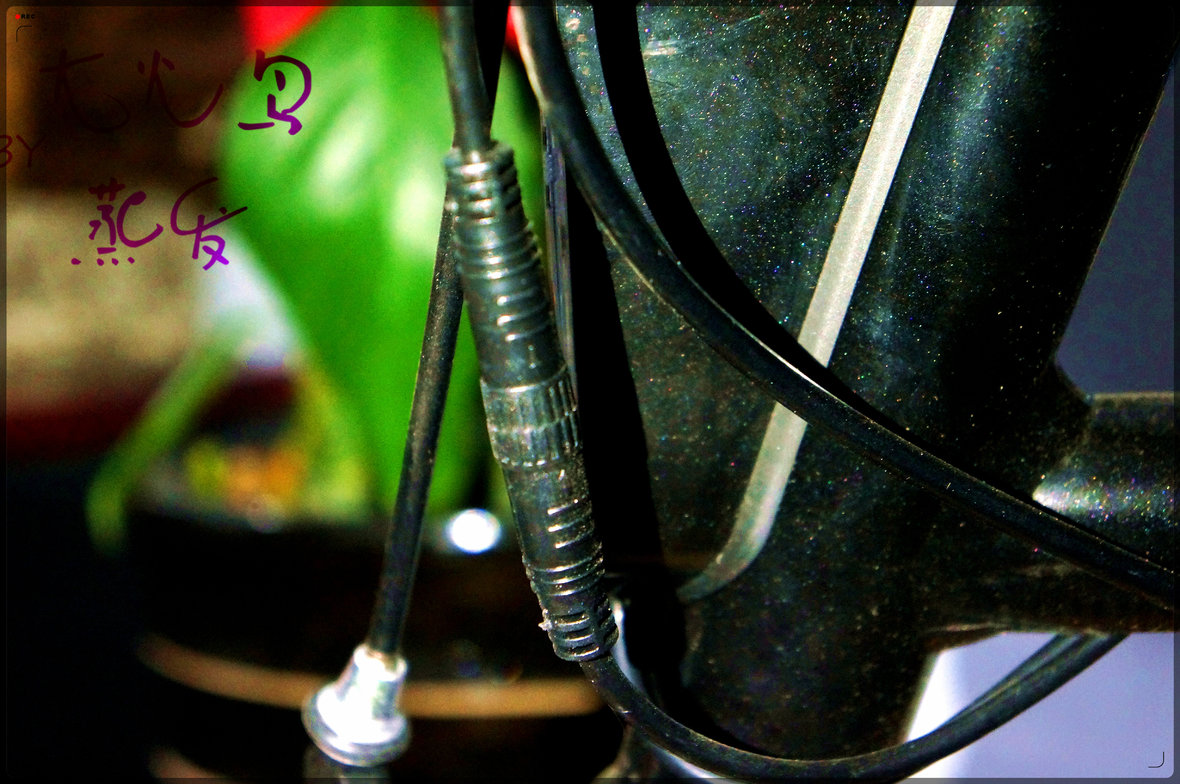 浜戦┈c1娴嬭瘎,浜戦┈c1缂虹偣