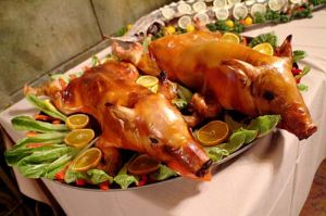 小狮子的真面目太可怕了,严肃的狮子座