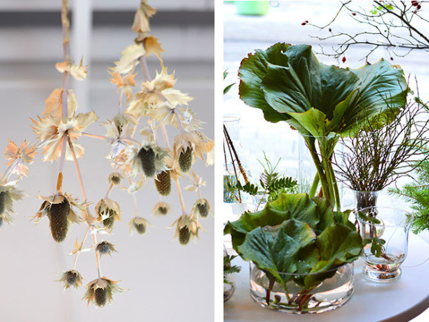 你有没有想过开一家花店呢 (要有一颗文艺心才能开一个花店)