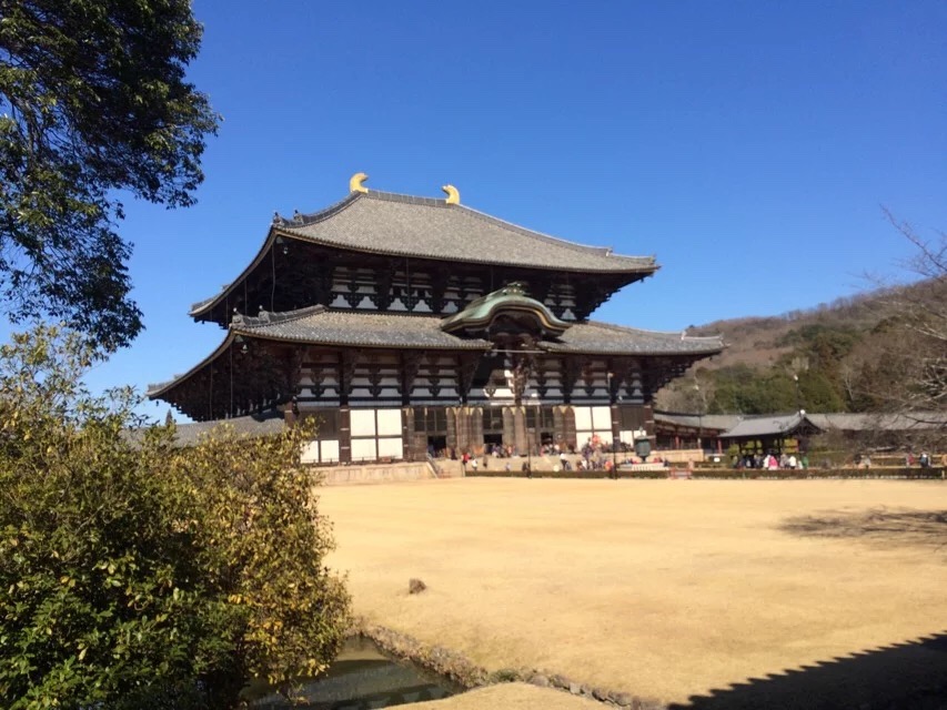 日本旅游马桶,日本旅游购物攻略一览表