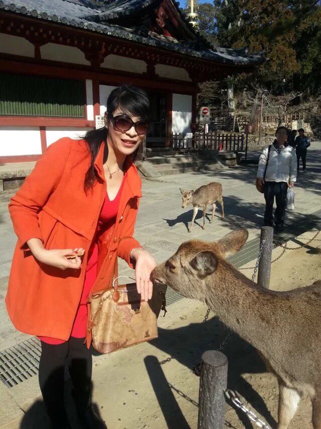 日本旅游马桶,日本旅游购物攻略一览表