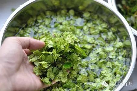 徐州春季野菜大全,徐州农村野菜