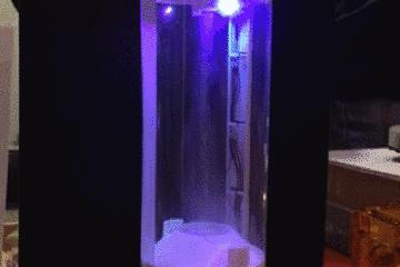 看完这18张科技动态图，我不相信日本是个严肃的民族