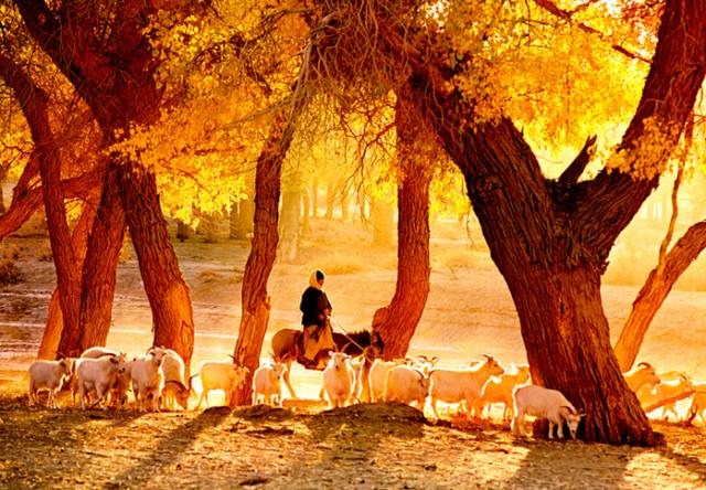 中国十四天旅行攻略 (顺着24节气游遍中国)