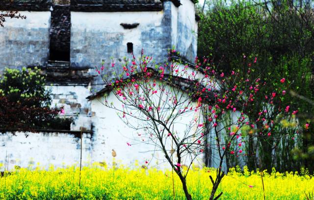 中国每个季节的旅游攻略 (中国一年四季的旅游攻略)