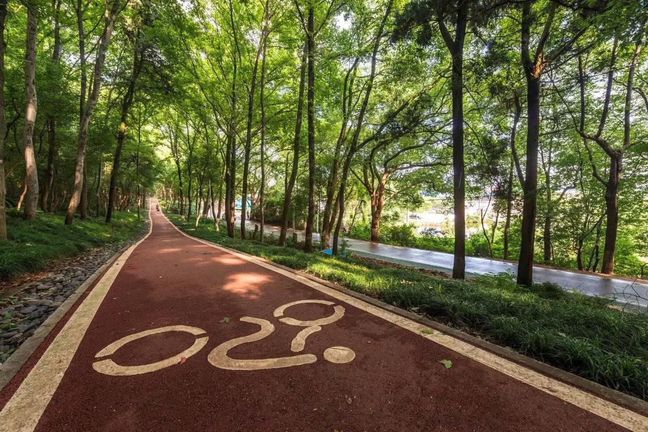 东湖绿道骑行游玩攻略,东湖绿道游船攻略