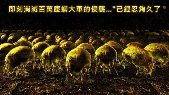 原来每天都和她们睡在一起，你知道吗？