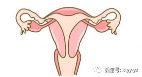 产后健康管理检查,产后体检莫忽视