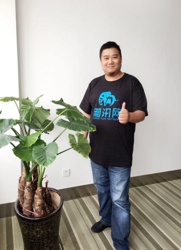 花200万外包建网站崩溃又融100万他自建集装箱查询系统PV24万