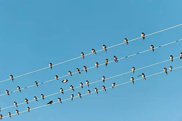 一个数学家的辩白在线阅读,初学数学的问题及解题方法