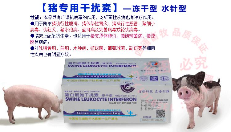 如何治疗猪病毒性拉稀,猪病毒性腹泻的症状及处理方法