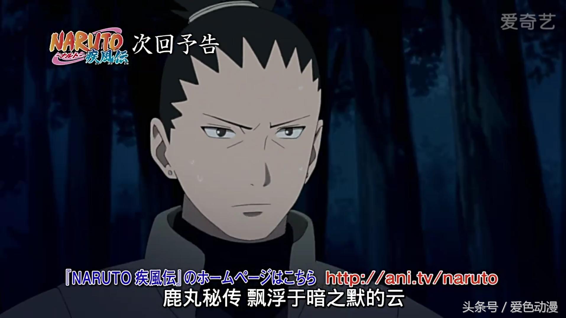 火影忍者终章看完了看什么,火影忍者完结后还会继续出么