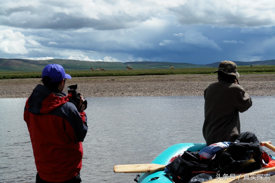 荒野求生秘籍完整版,荒野自救教程