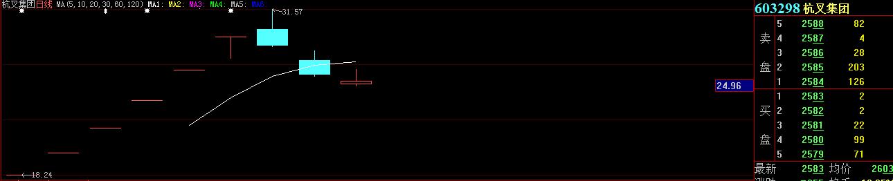 新股破发200多元一路下行,去年股票跌得最惨的股票