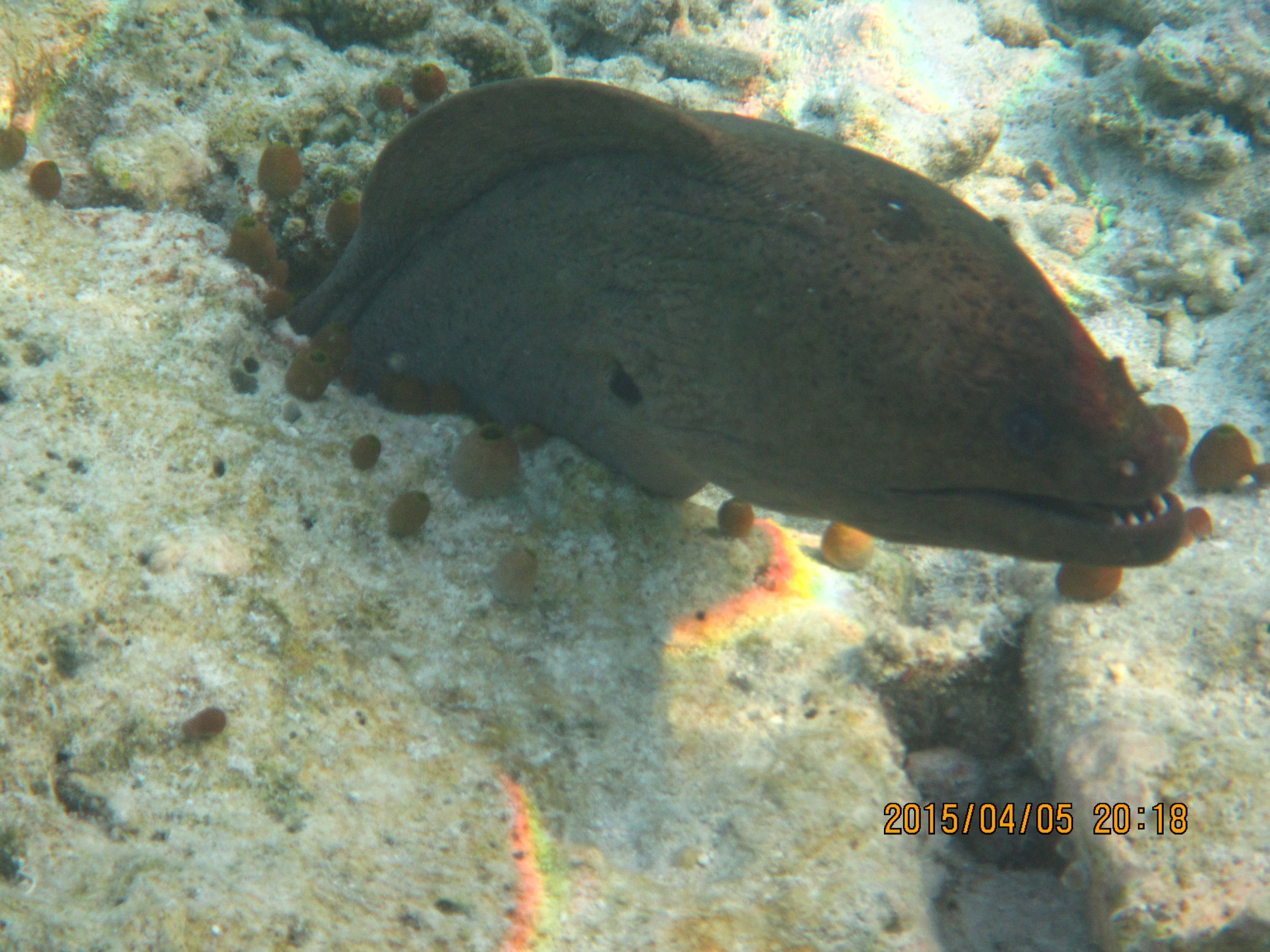 马尔代夫最美景色,最美马尔代夫风景