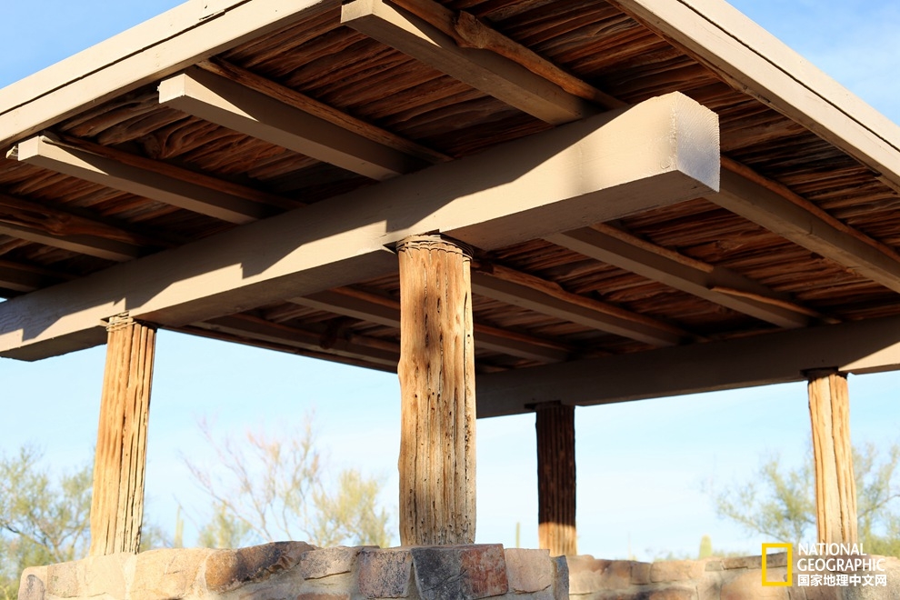 图森仙人掌,图森地理位置