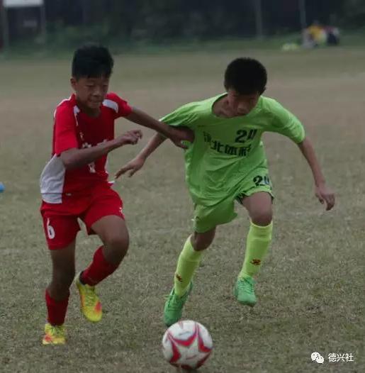 马德兴足球教育,马德兴谈中国足球