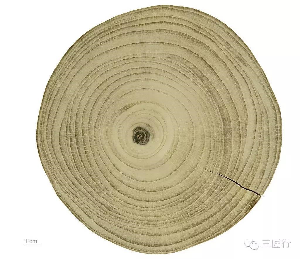 全网最畅销的砧板,世界最好砧板品牌