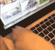 和往常一样，我的父亲喝了点酒，一场家庭*力暴**即将发生