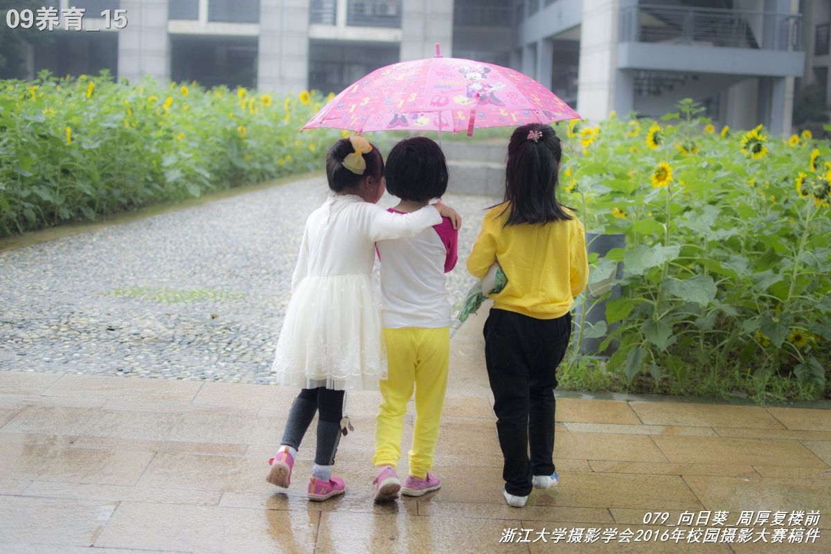 浙江大学是中国最水的大学,一分钟带你了解浙江大学