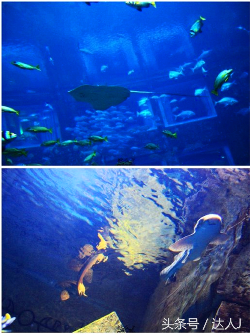 沙漠上的超级绿洲迪拜,迪拜沙漠上的奢华之都