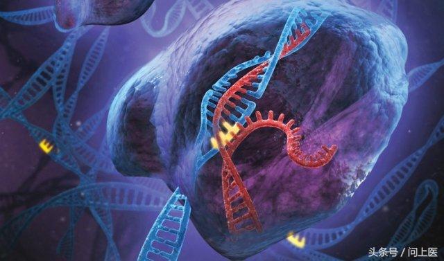 抱子甘蓝迷你小包菜3月能种吗,抱子甘蓝跟包菜口感一样吗