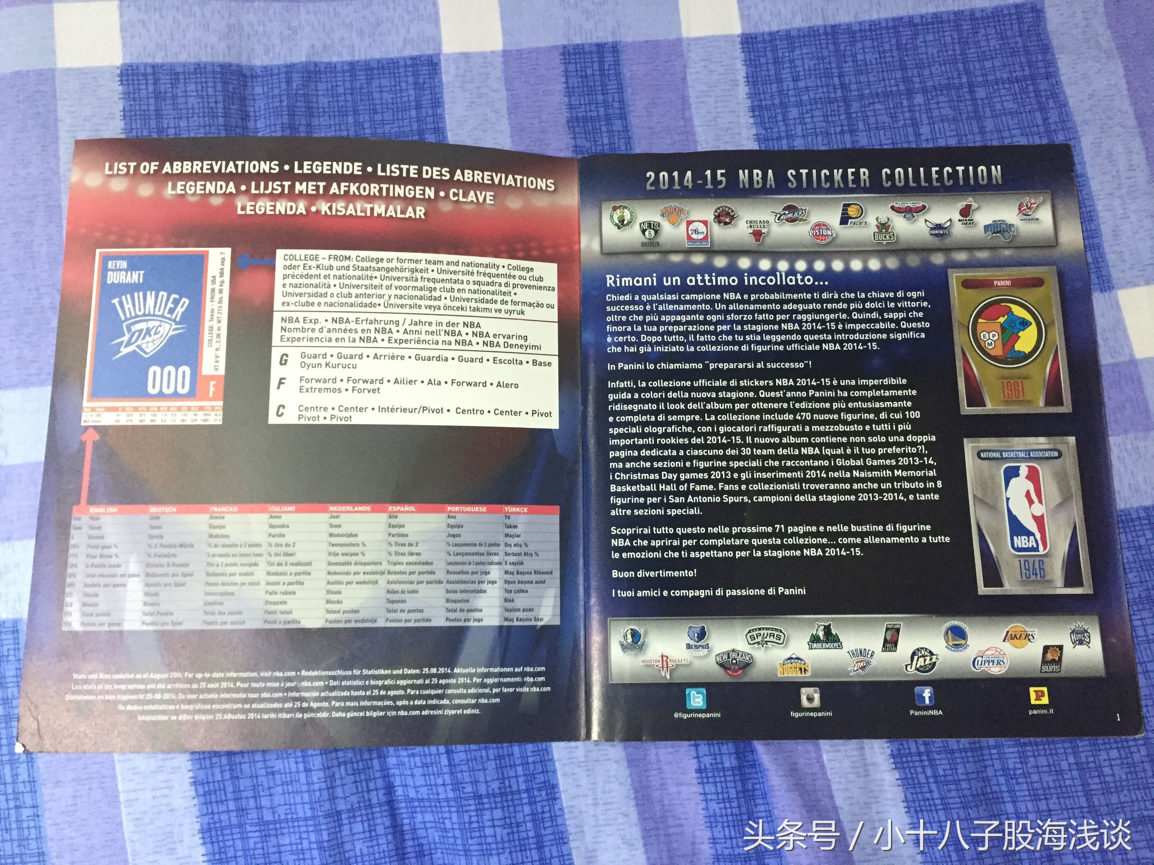 nba帕尼尼贴纸卡,帕尼尼卡塔尔世界杯贴纸版本